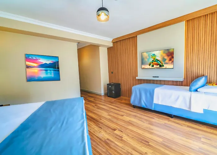 فندق Dalyan Caria Luxury Hotel 4*